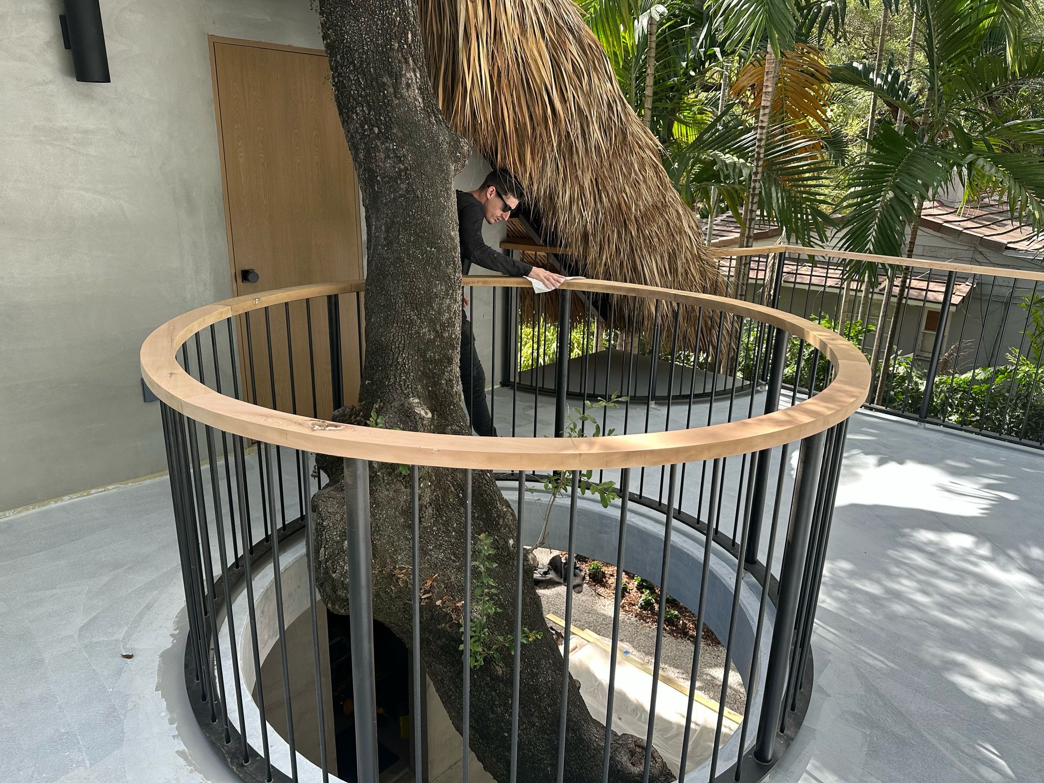 Circular aluminum tree surround railing with wood cap — Jungle Book Residence, Miami FL