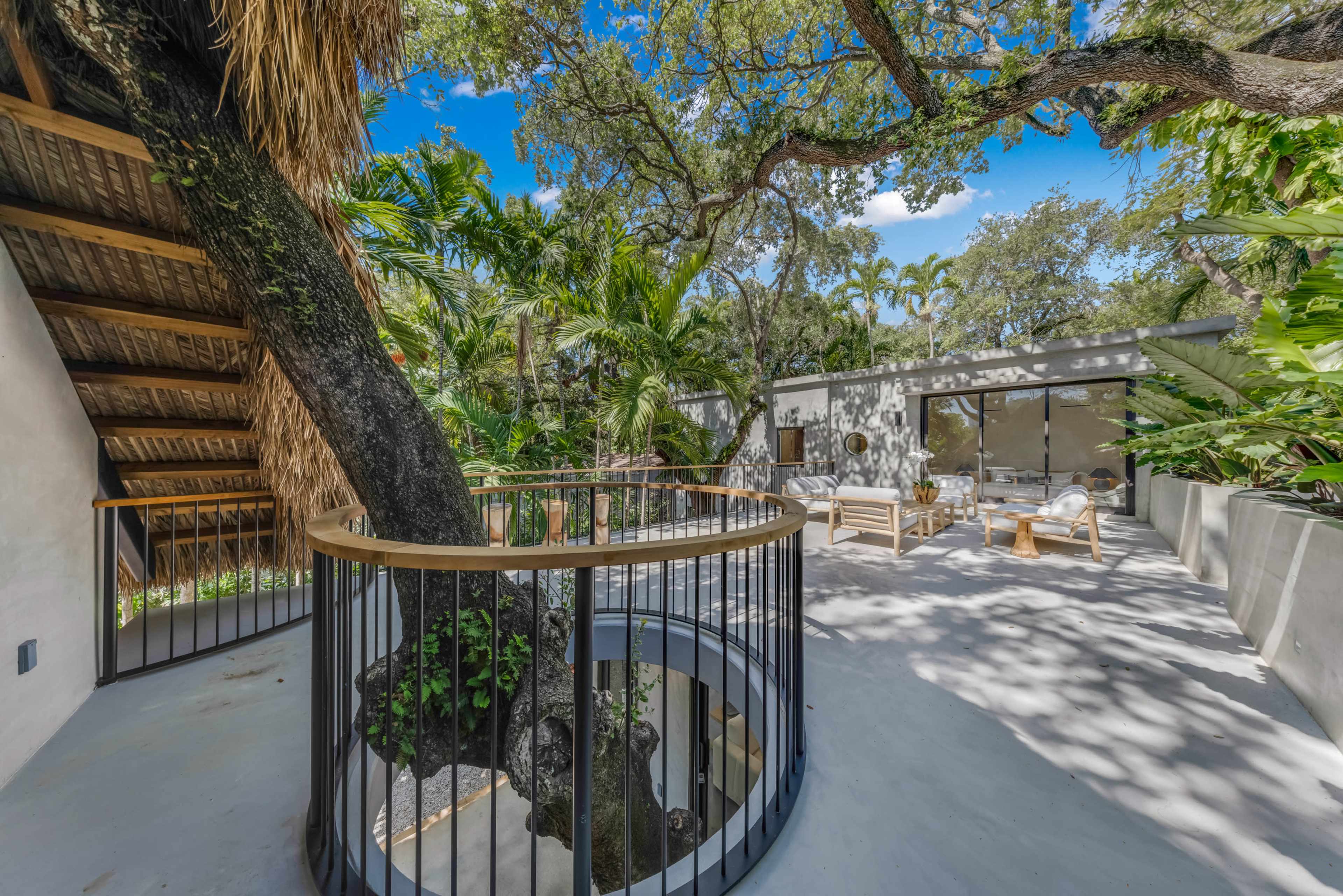 Circular steel tree surround railing on rooftop terrace - Jungle Book Residence, Miami FL